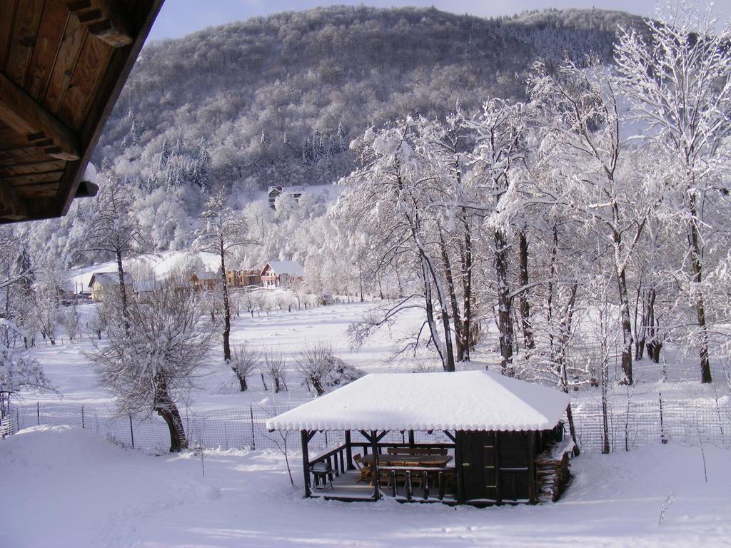 Vila Carpathia Bran  Exterior foto